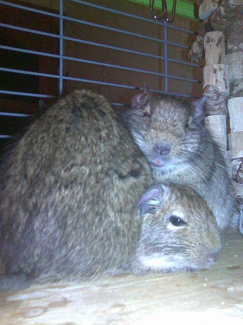 Image048