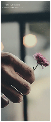 [Image: image.png]