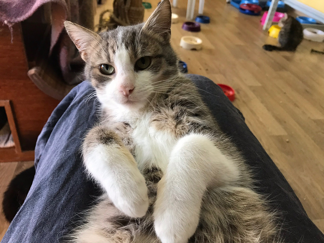 AF1BC21D-BE69-4DC6-82E1-204C61E2B856