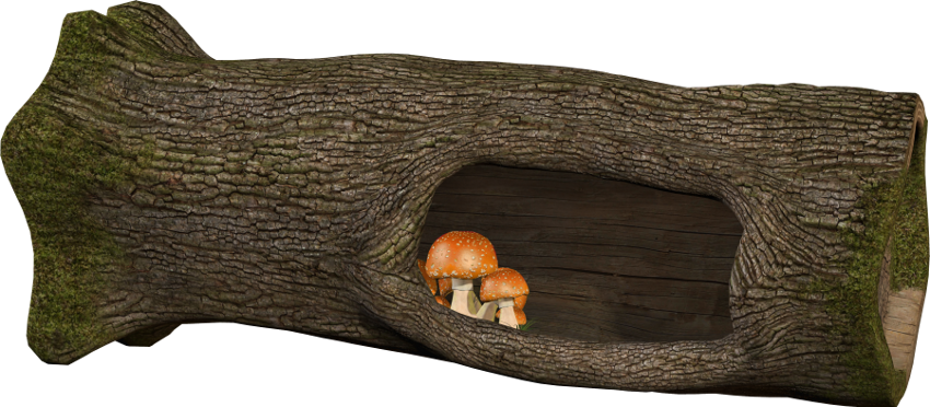 Autumn Witchery (145)