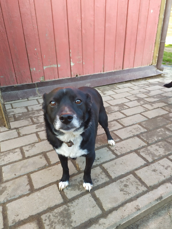 Кнопа_Маня1