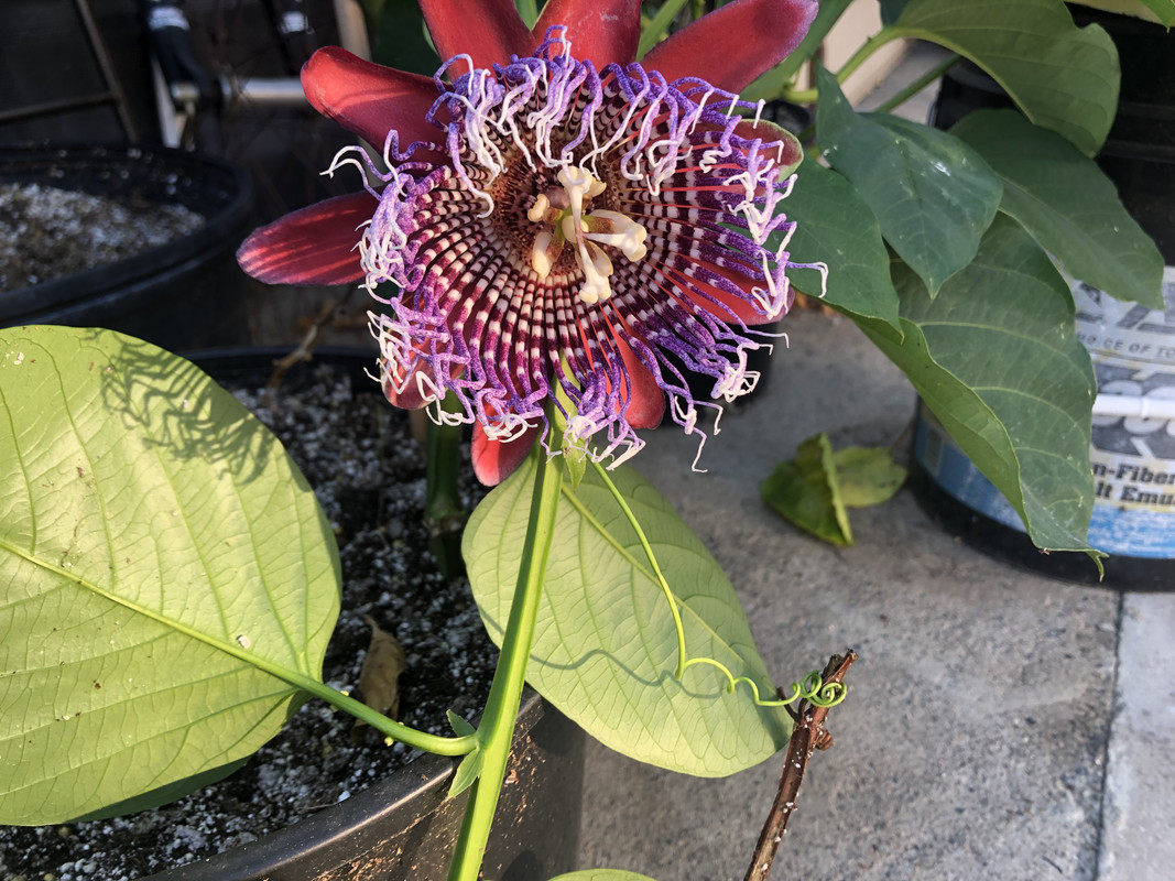 71587769277__27C4C6BB-E11E-45FB-B1CB-D05EBA7F5AE5