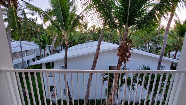 DIA 2 – HOTEL RIU BAMBU Y PARQUE ACUATICO - Hotel RIU Bambú + Isla Saona + RIU Party (4)
