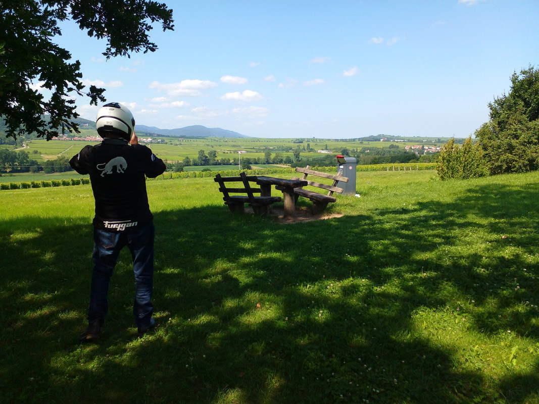 Rückblick_Weinstrasse