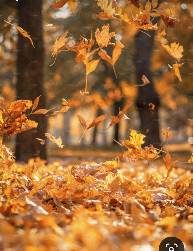 Screenshot_20231222_174835_Pinterest