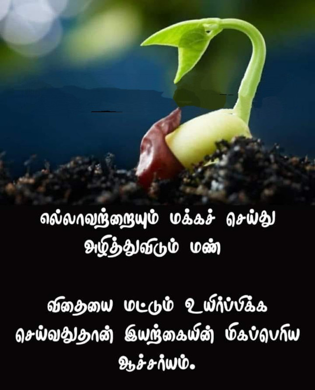 IMG-20250825-WA0007 (1)