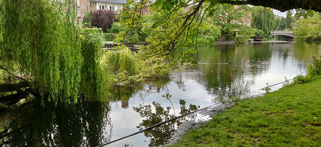 Tercer día: Amsterdam:Goatfarm Ridammerhoeve , Voldenpark y Bibliotecamunicipal - Road Trip Holanda con niños (13)