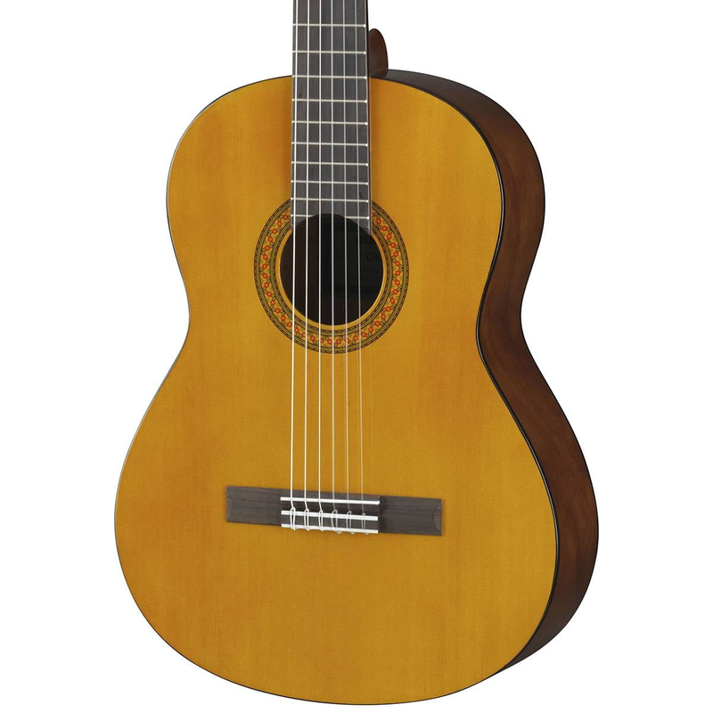 acoustic guitar for beginners