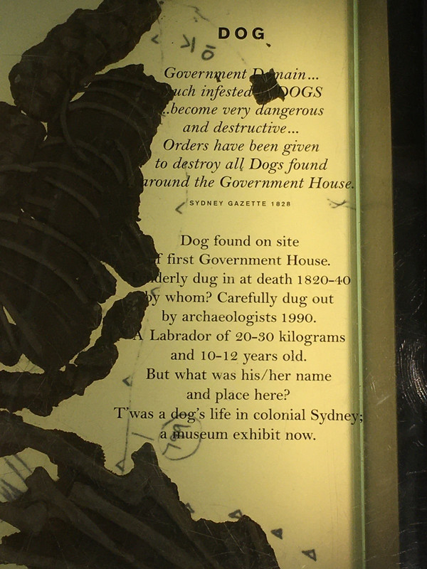 B28218DB-7152-42B9-A953-E8252462AF36