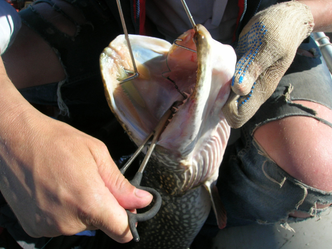 рыбалка джиг спиннинг (1)