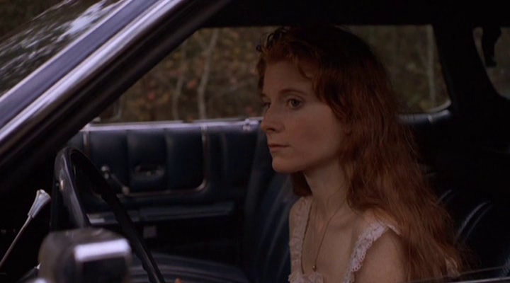 vlcsnap-2016-11-06-16h06m13s149