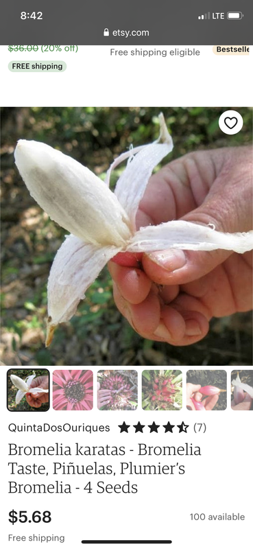 C77511F3-D162-4363-86A5-F9EA340C47E8