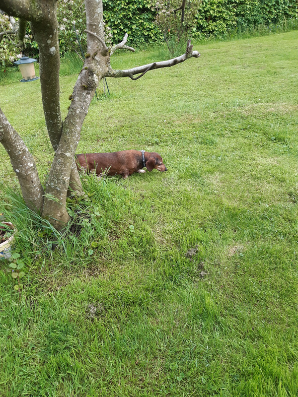 [Image: 20210522-170642.jpg]