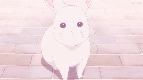 184142.gif