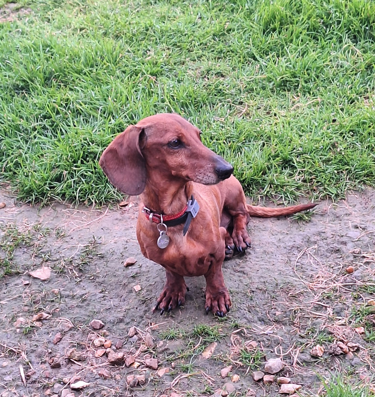 [Image: 20240426-194923.jpg]