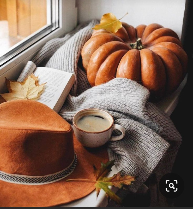 Screenshot_20230909_011317_Pinterest