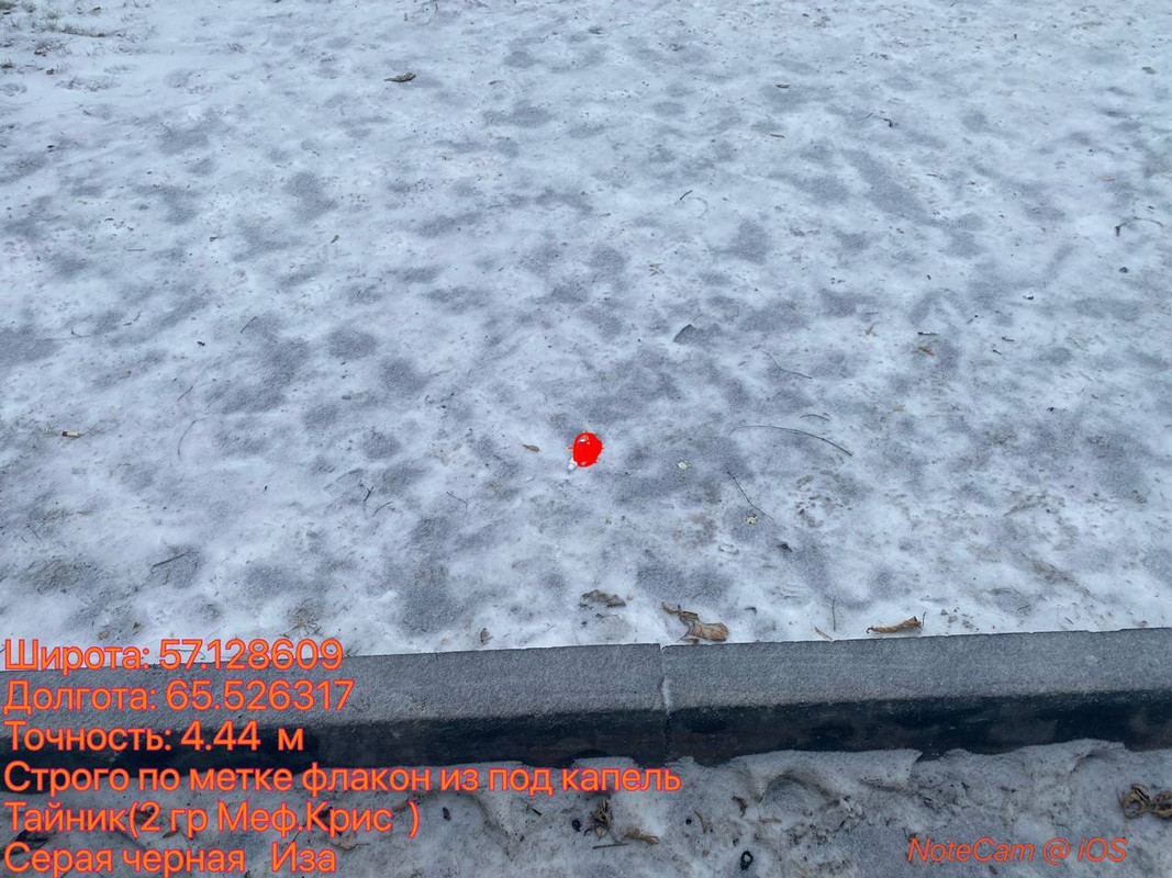 photo 2025 12 14 11 40 47