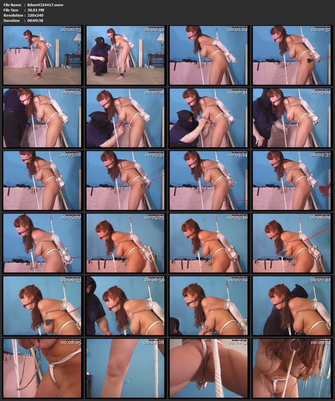 Bdsm4324417.wmv