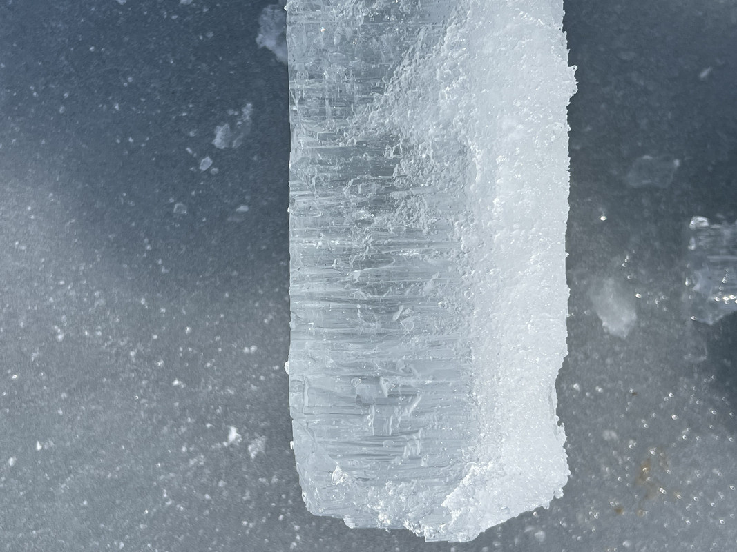 AB3F84F6-F1E4-4E9B-91D8-1AF66E27882B