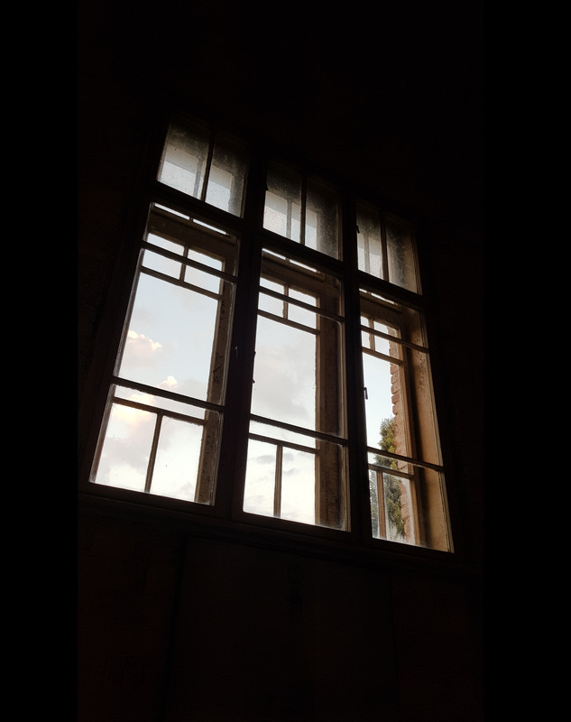 [Image: 20220806-193758-IG2.jpg]