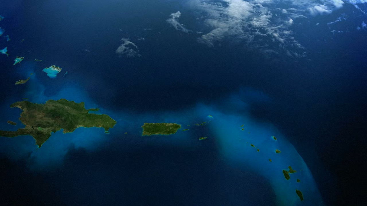 Planet Earth S01E09 Shallow Seas.mkv_snapshot_23.42_[2018.03.01_