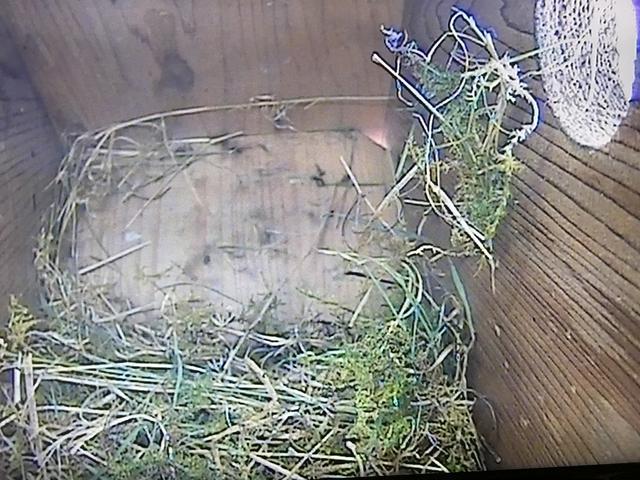 4A8CB4AB-5758-407E-8225-B37623D31176