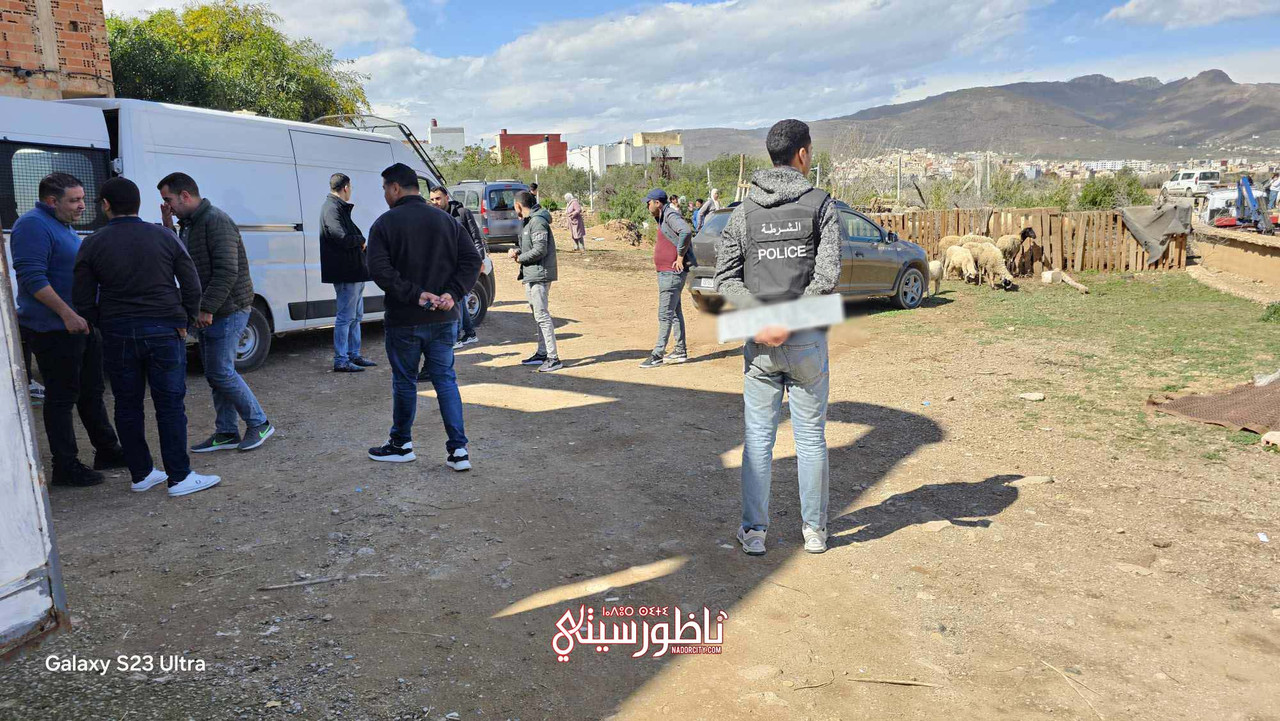 476482329-1744681079413486-7017584378844678677-n