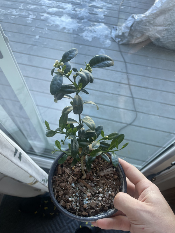 AA2181DE-711A-4475-BFFC-25F4AF02429C