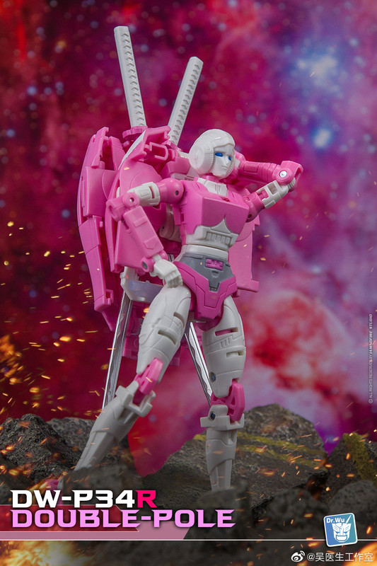 DW-P34R-Double-Pole-09