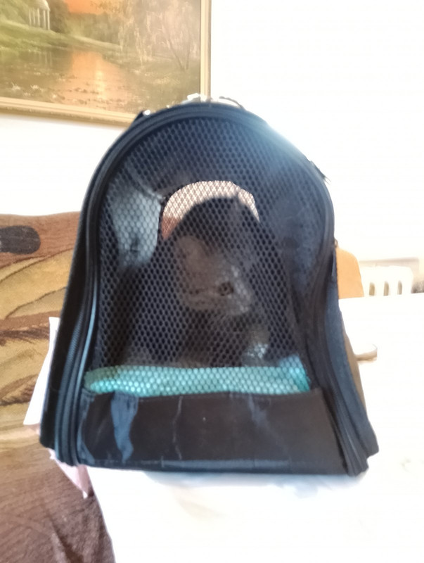 изображение_viber_2024-02-28_11-08-19-730