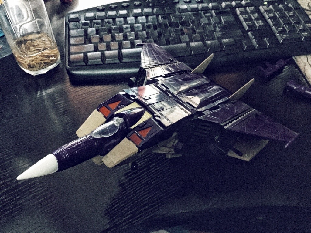 15972623_391761167840983_4902627582804002338_o