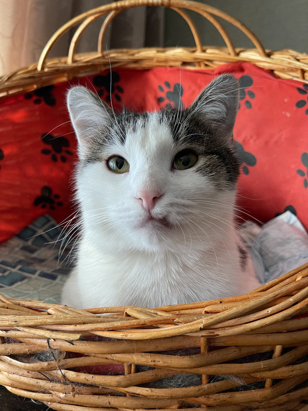 FC35A5EB-53EE-41EE-A6D8-AE6F034EE685