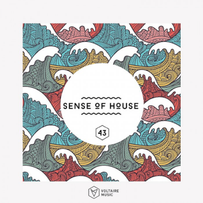 VA - Sense Of House Vol. 43 (2019)