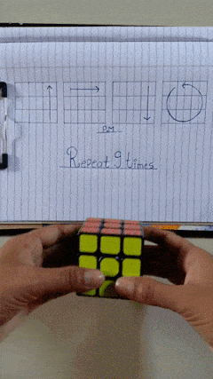 https://i.postimg.cc/0y3hVbqL/5.gif