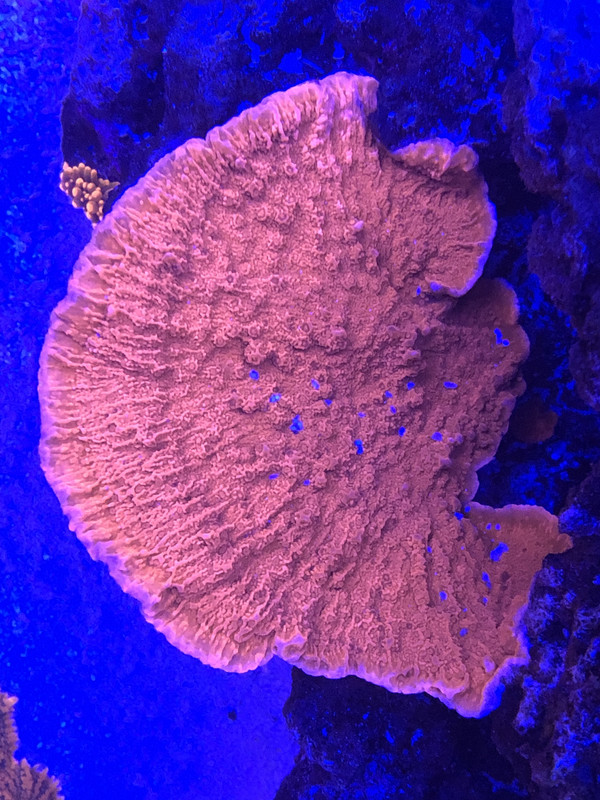 E39D04E3-7BF7-48CE-84A6-0E3C3F155E5D