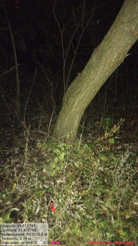 photo 21 2025 12 05 13 21 31