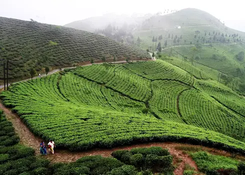 Darjeeling