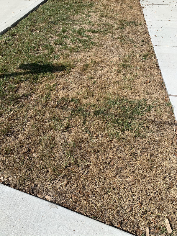 A95C626D-67EF-4FE1-A949-FAC2114266D1