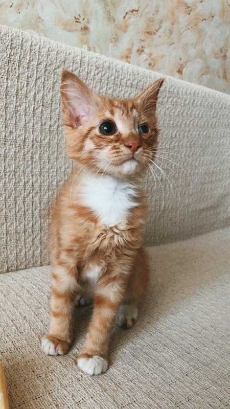 975B52DA-8DEE-432D-987B-7138943B6391