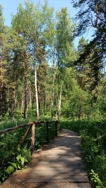 Сибирские просторы: Новосибирск - Томск - Красноярск (июнь 2026)
