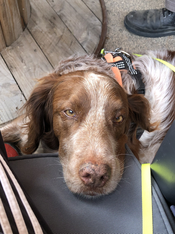 0E46950B-0684-4538-82F6-A22E07F18F18