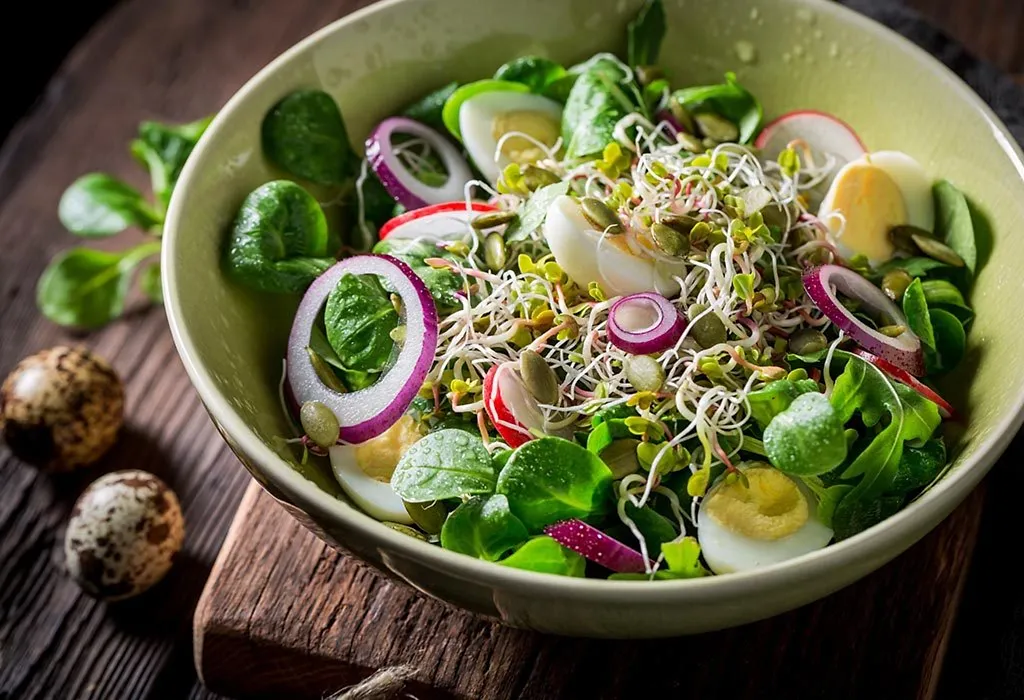 Best Spring Salads for Weight Loss 2025