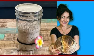 Create Your Own Sourdough Starter in Just 7 Days (2022-01)