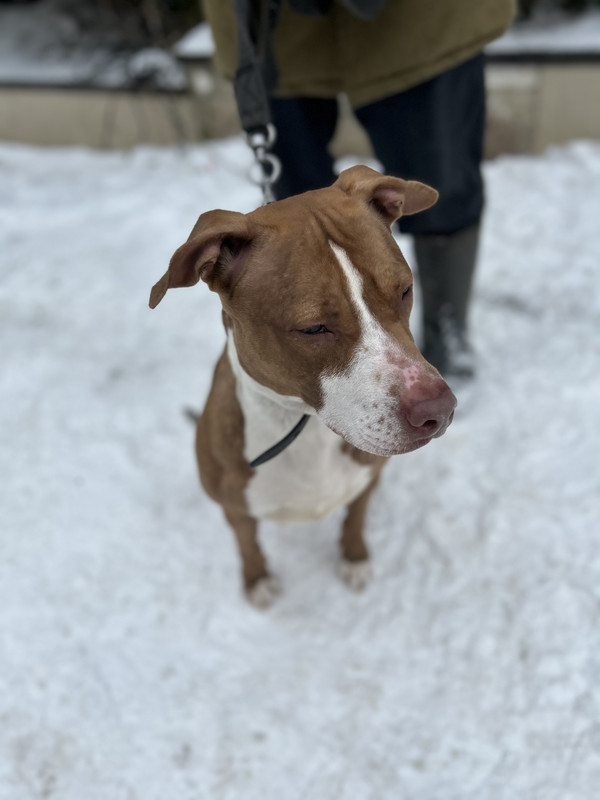 9EE3A93E-0CBF-4879-B005-BCEB50BA081E