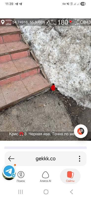 Screenshot 20260322 113918 Yandex