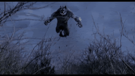 7554B607-E260-4C66-A23A-0496128F111D.gif
