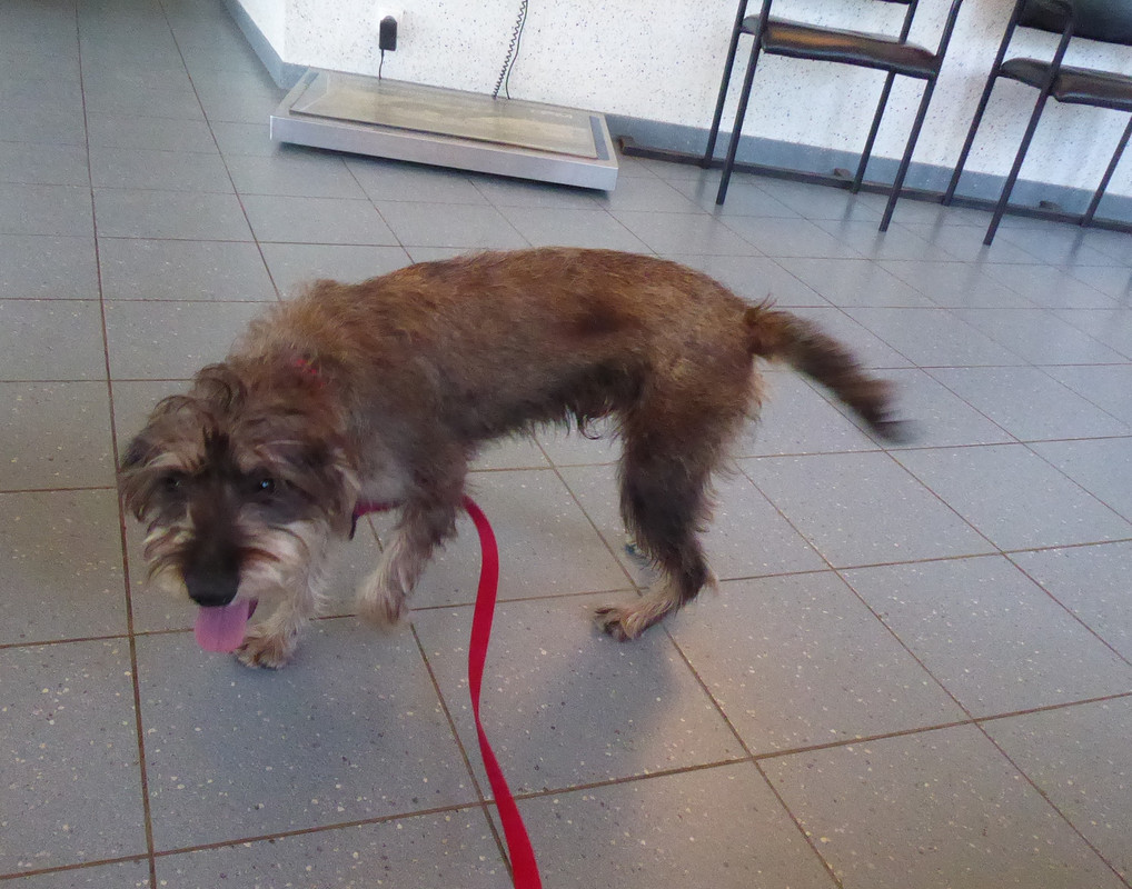 [Image: P1040885.jpg]