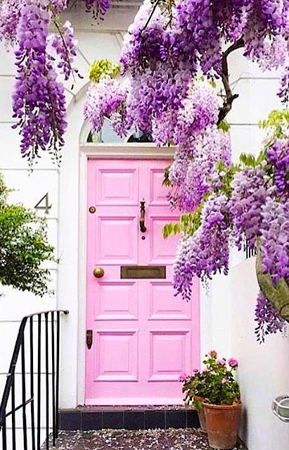 pinkfrontdoorflowers.jpg