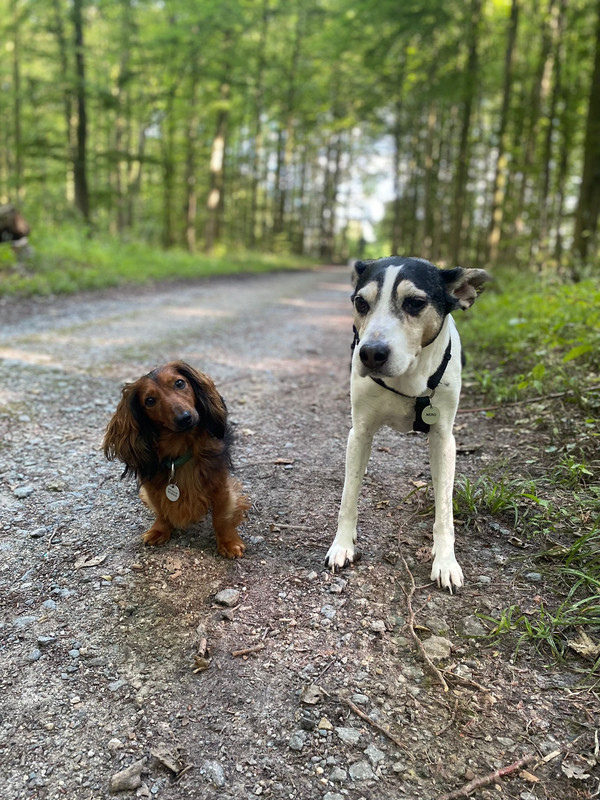 [Image: IMG-20240805-WA0018.jpg]