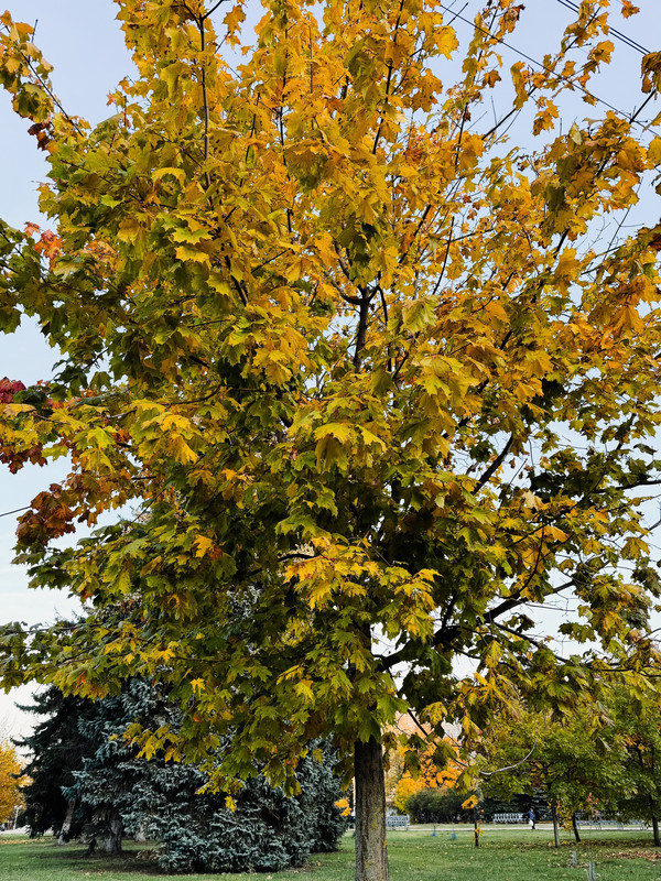 9xS7RThbRas5fiYAns2RKtnFpSVc69XpK2W0OMICBODy7QDMzvdmtB6A-kY_G496U5eZsxwqatg_xZ87rT3eCsNb